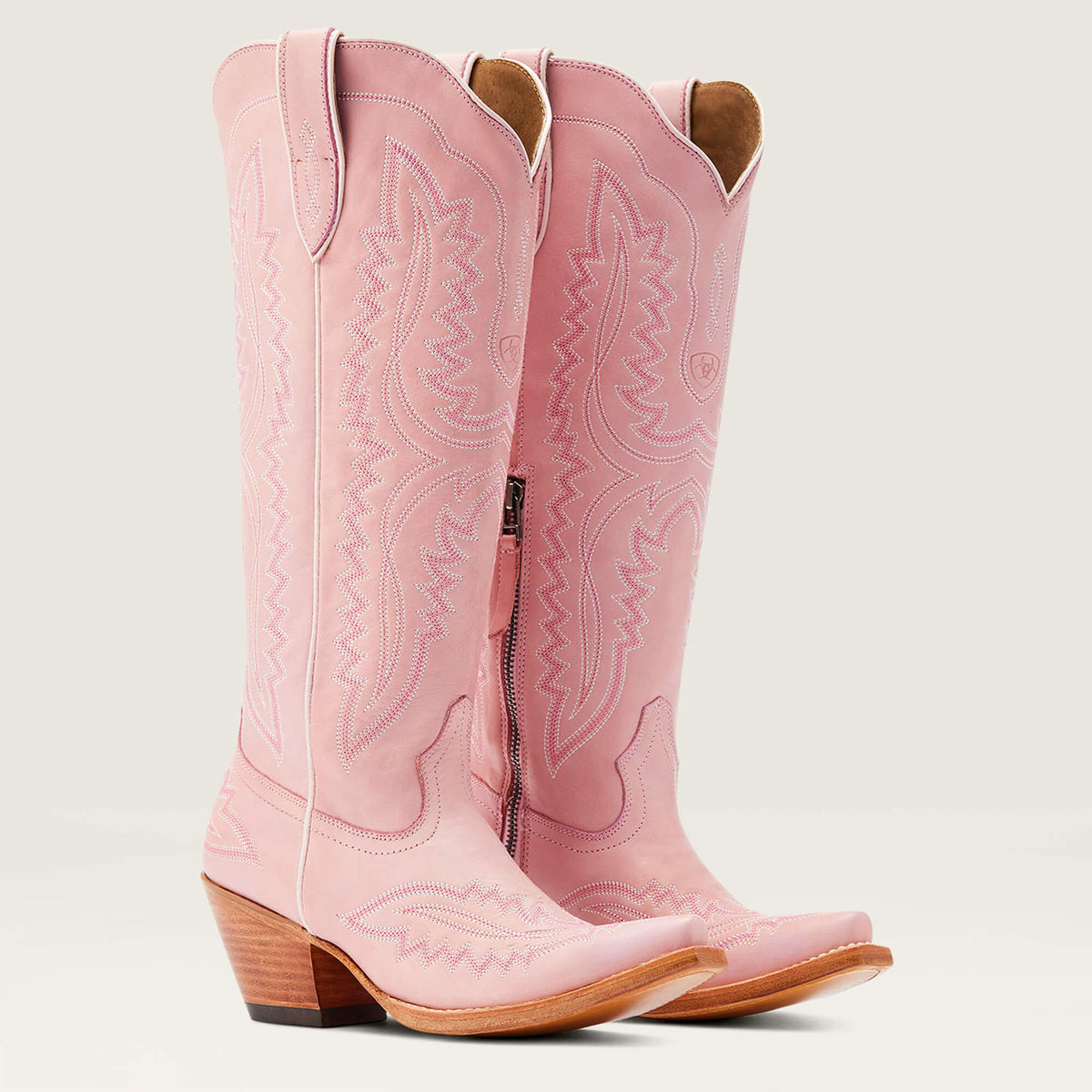 Cowboy Carter Outfits Vintage Embroidered Pointed Toe Western Boots – Sienna Noosa