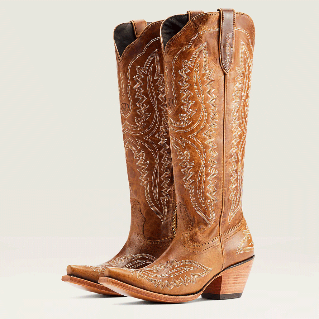 Cowboy Carter Outfits Vintage Embroidered Pointed Toe Western Boots – Sienna Noosa