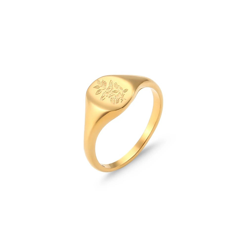 Elena Anillo Gold Acero Inoxidable With Perla Agua Dulce – Sienna Noosa